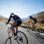 La Genzianella
